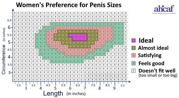women's preference for penis sizes chart