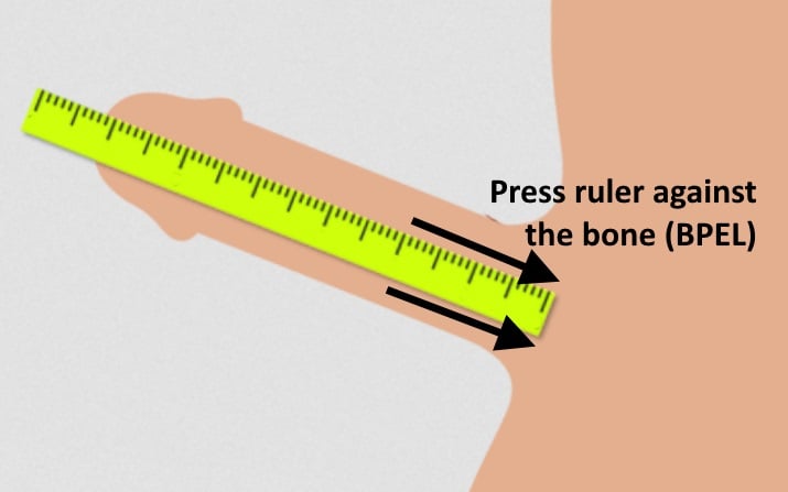 How to Measure Your Penis Length and Girth