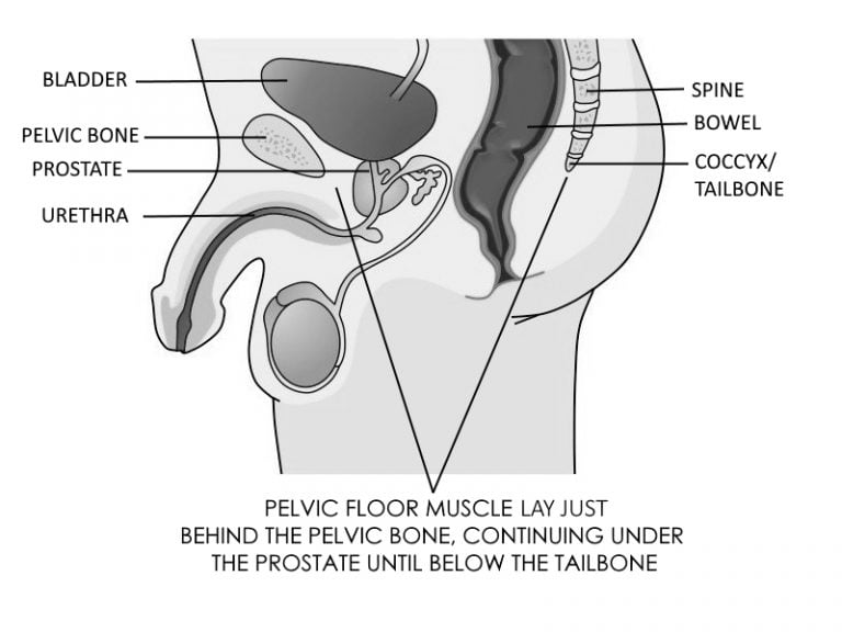 Kegels Exercise For Men Beginners Guide