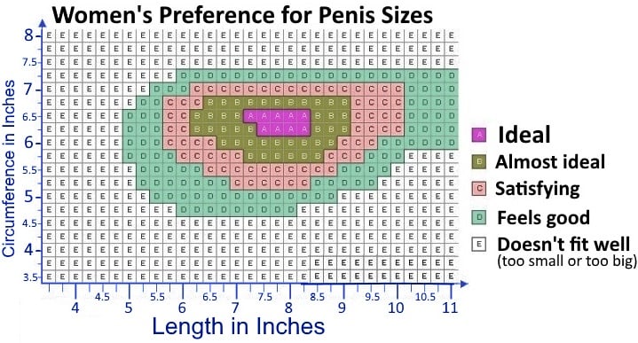 Penis Measurement Guide How To Correctly Determine Your Size.