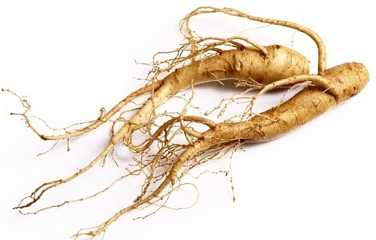 Ginseng Root: Different Types and Uses